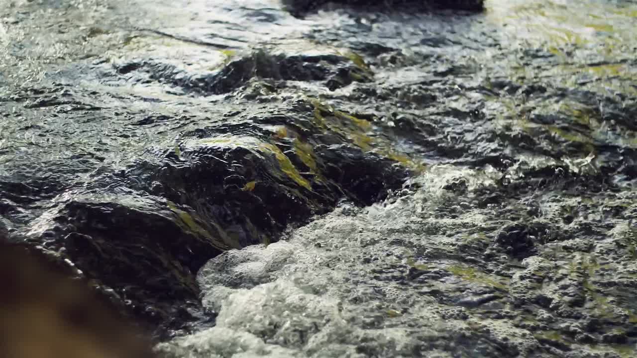 Acqua che scorre impetuosa e gorgoglia a rallentatore intorno alle rocce, l'acqua riflette gli alberi.