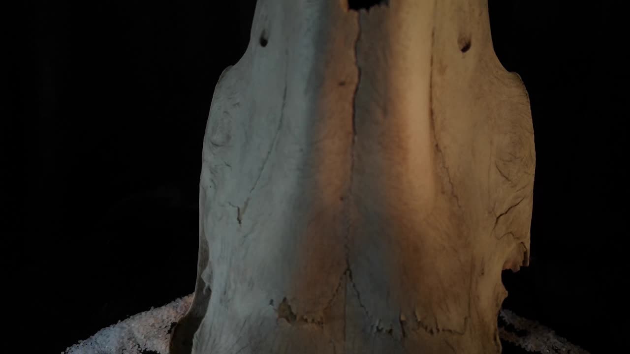 la naturaleza morta metafórica de los símbolos ocultos