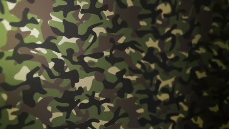 green camouflage pattern background. military uniform concept. abstract line and wave texture. loop animation.