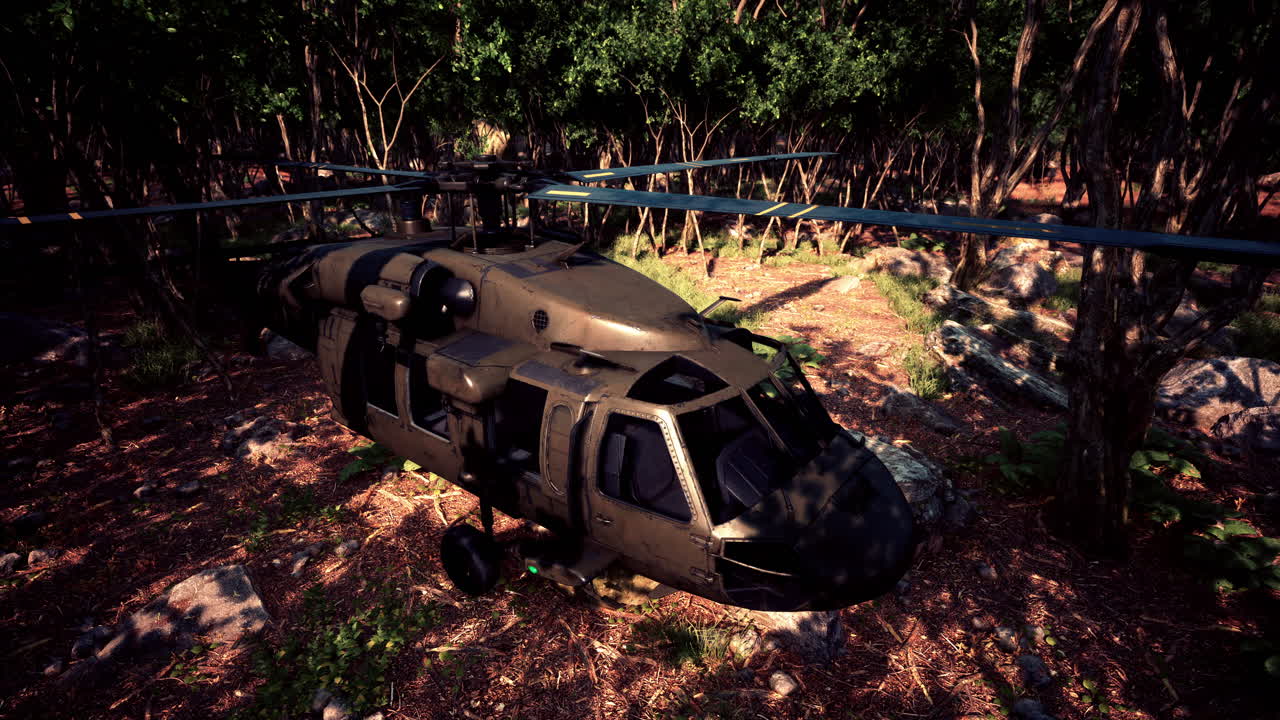 깊은 정글에서 군사 헬리 ⁇ 터