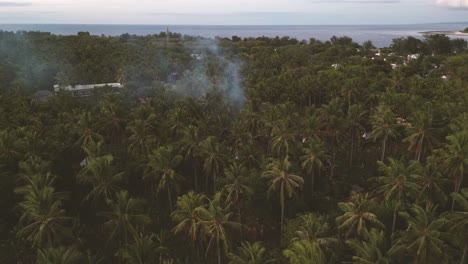 humo proveniente del medio de un bosque de cocoteros en la isla de gili trawangan en indonesia