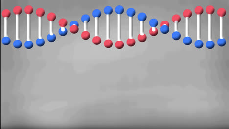 회색 배경에 복사 공간과 함께 dna 가닥이 회전하는 애니메이션