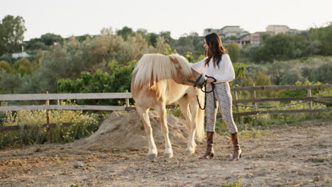 woman interacting with a horse in a countryside setting