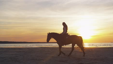 silueta de un joven jinete a caballo en la playa a la luz del atardecer.