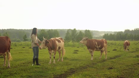 young farmer woman strokes a cows in the field in summer