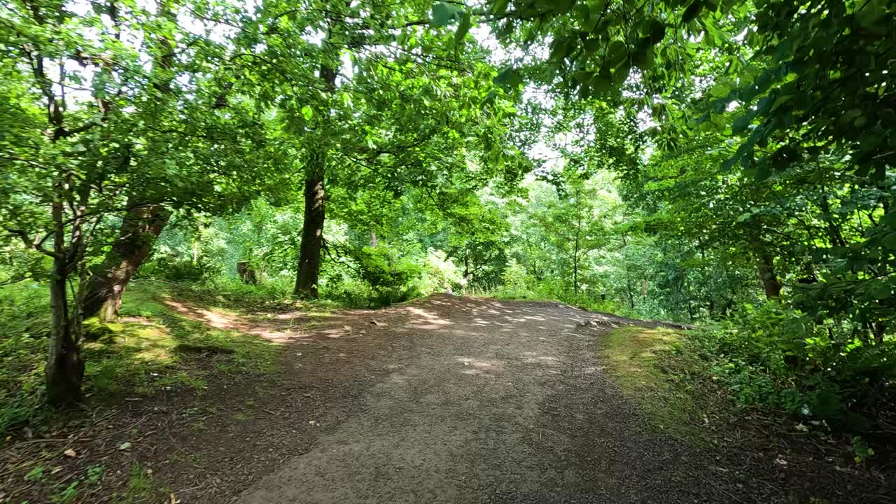 스코틀랜드의 스털링에 있는 경치 좋은 숲길