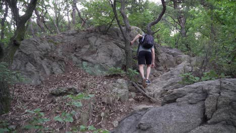 back view of man tourist with a backpack on a rocky trail in mountain valley of national park