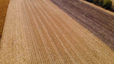 Hermoso-Video-Agrícola-Revelador-Hacia-Atrás-Durante-Un-Hermoso-Día-Soleado