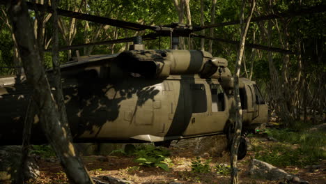 military helicopter in deep jungle