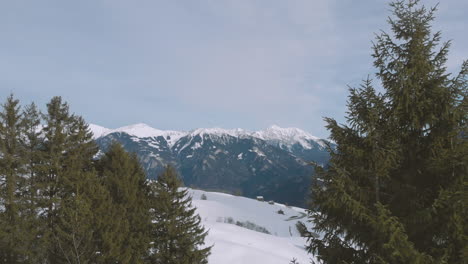 aerial drone footage as flying between two pine trees in the snowy mountains, revealing a winter landscape with high mountains over wooden houses