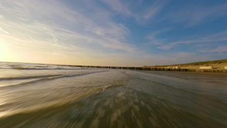 Discover ocean&#039;s beauty like never before