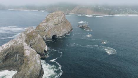 Lush-green-forests,-which-meet-the-ocean-at-the-tideline