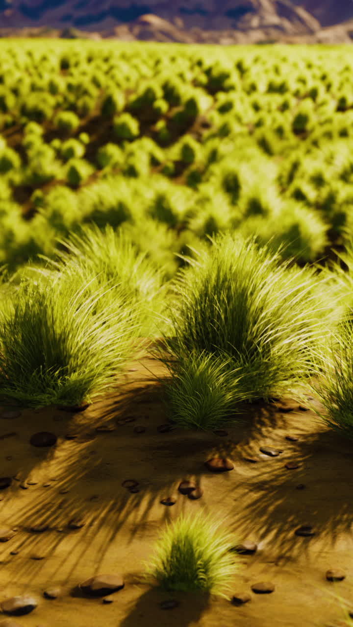 una hermosa toma de un campo cubierto de hierba