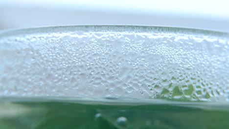 una toma macro de una hoja de menta verde fresca orgánica llena de agua caliente a un vaso, vapor y burbujas, té de desintoxicación fresco y saludable, profundidad de campo borrosa, video 4k cinematográfico suave, inclinación hacia abajo