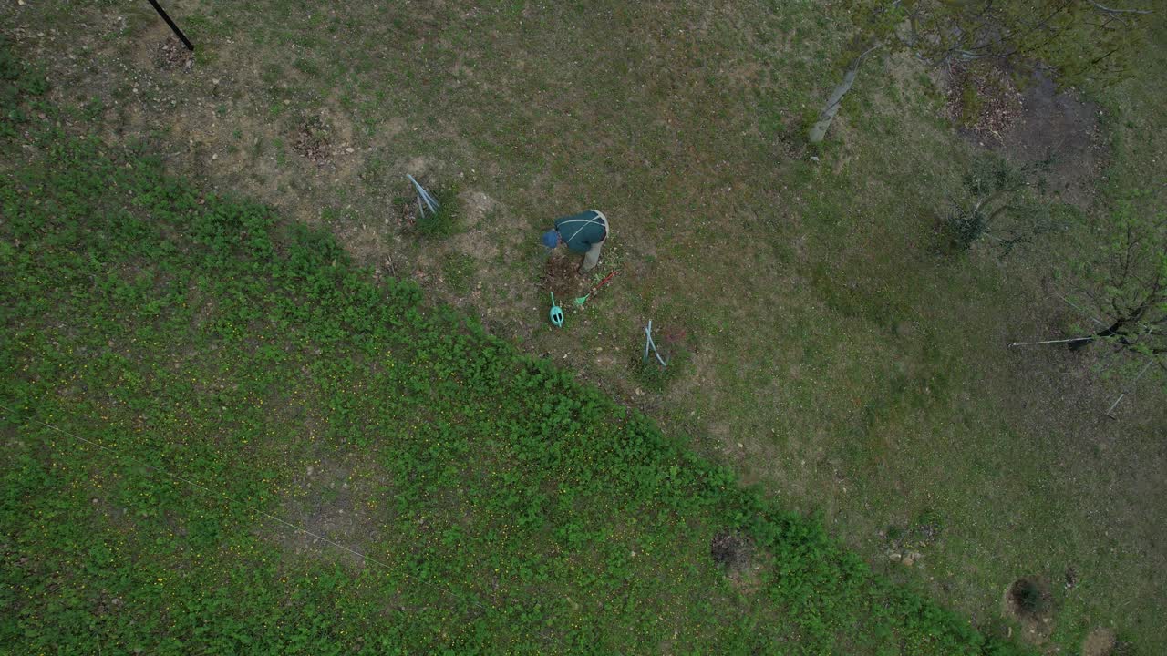 Giardiniere anziano pianta con cura giovani alberi nel terreno preparato all'interno di un piccolo giardino rurale delimitato da un campo erboso, enfatizzando l'invecchiamento attivo e uno stile di vita sostenibile, ripresa aerea dall'alto con drone.