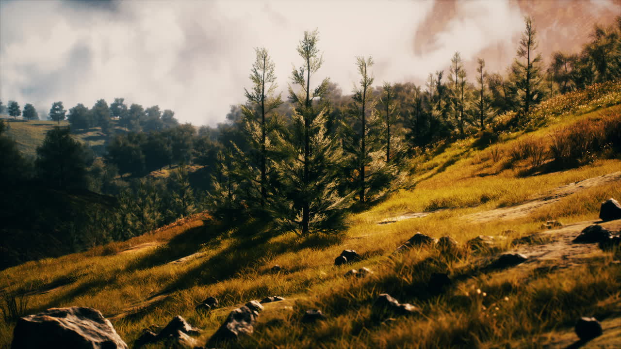 amanecer en las montañas en una mañana brumosa