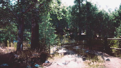 Schlamm-Abseits-Der-Straße-Schmutzig-An-Regnerischen-Tagen