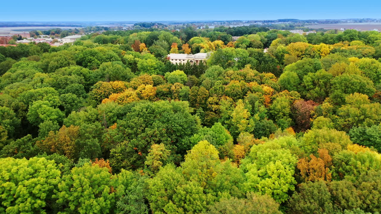 Autumn trees in the thick wooded park. White palace with columns locating in the greenery. Aerial view.