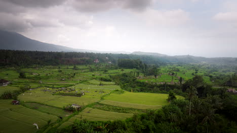 Scenic-Landscape-Of-Green-Rice-Fields-On-A-Cloudy-Day-In-Bali,-Indonesia---Aerial-Shot