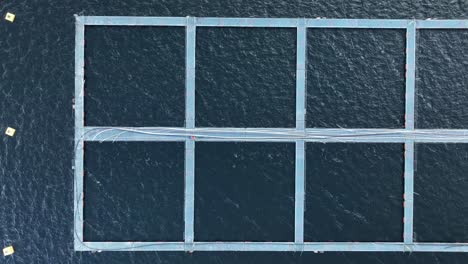 empty floating square fish farm cages, birdseye aerial moving right