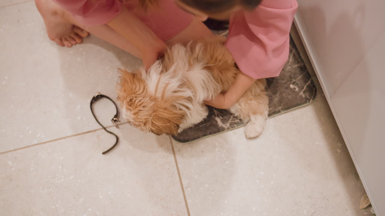 Woman Tenderly Cleans Young Dog, Compassionate Woman Helps Puppy During Bath With Care And Towels, Gentle Lady Carefully Supports And Bathes Adorable Puppy In Comfortable Bathroom Setting