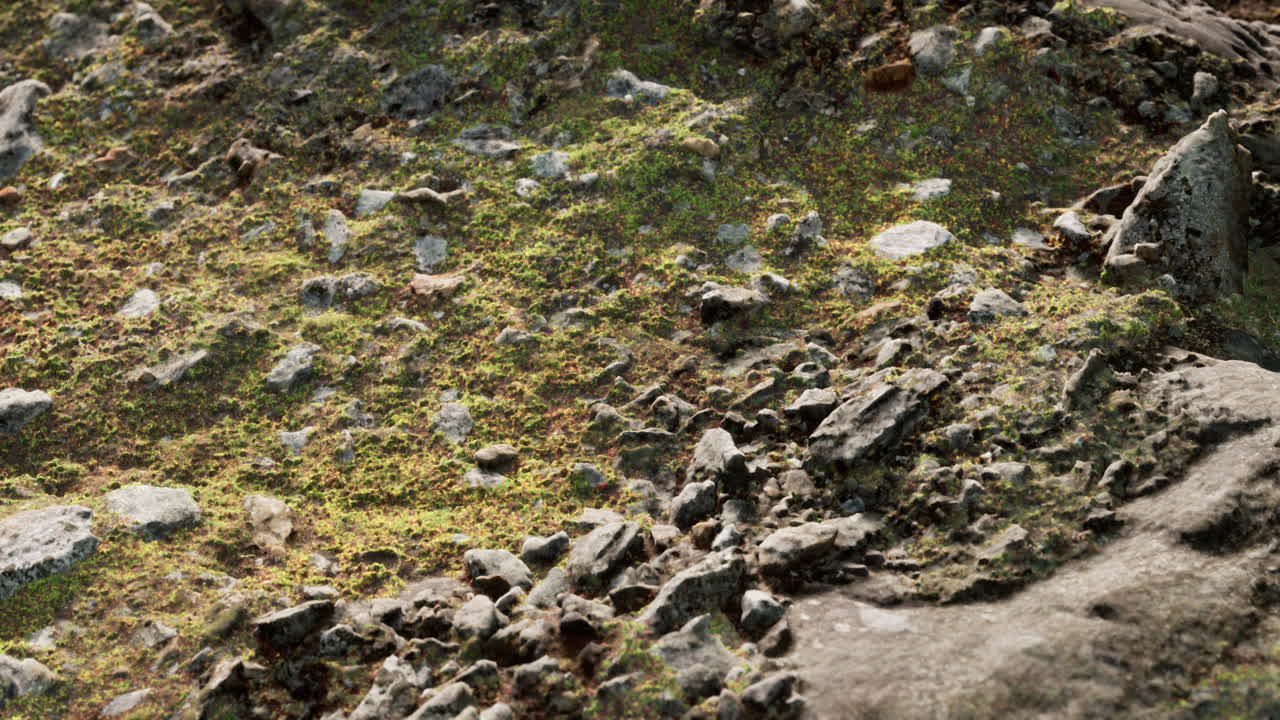 cerca de la formación de piedras rocosas