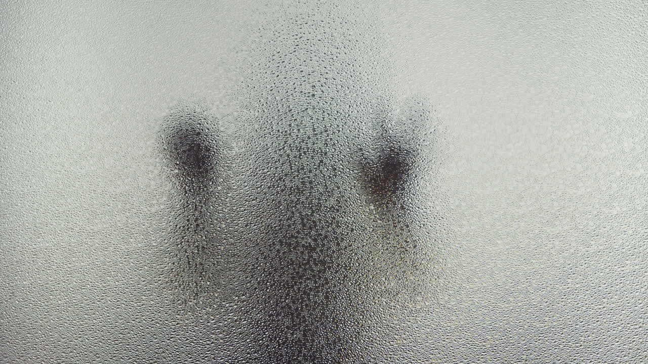 A female silhouette behind the frosted glass moves slowly and screems