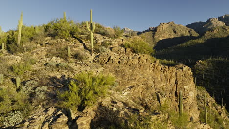 Maravillosas-Imágenes-De-Drones-De-Un-Valle-Rocoso-En-El-Desierto-Con-Cactus-De-Toda-Variedad