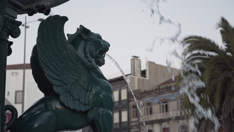 lion’s fountain in porto university rectory