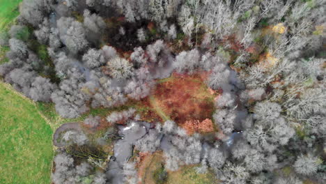 Vista-Aérea-Superior-De-Bosques-De-árboles-Quemados-Grises,-Durante-El-Día,-Drones-Volando-Hacia-Los-Lados