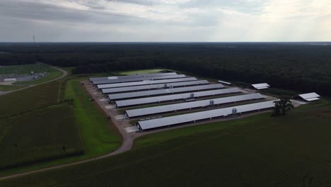 An-aerial-view-of-eight-long-farm-buildings,-parallel-to-each-other-with-metal-roofs