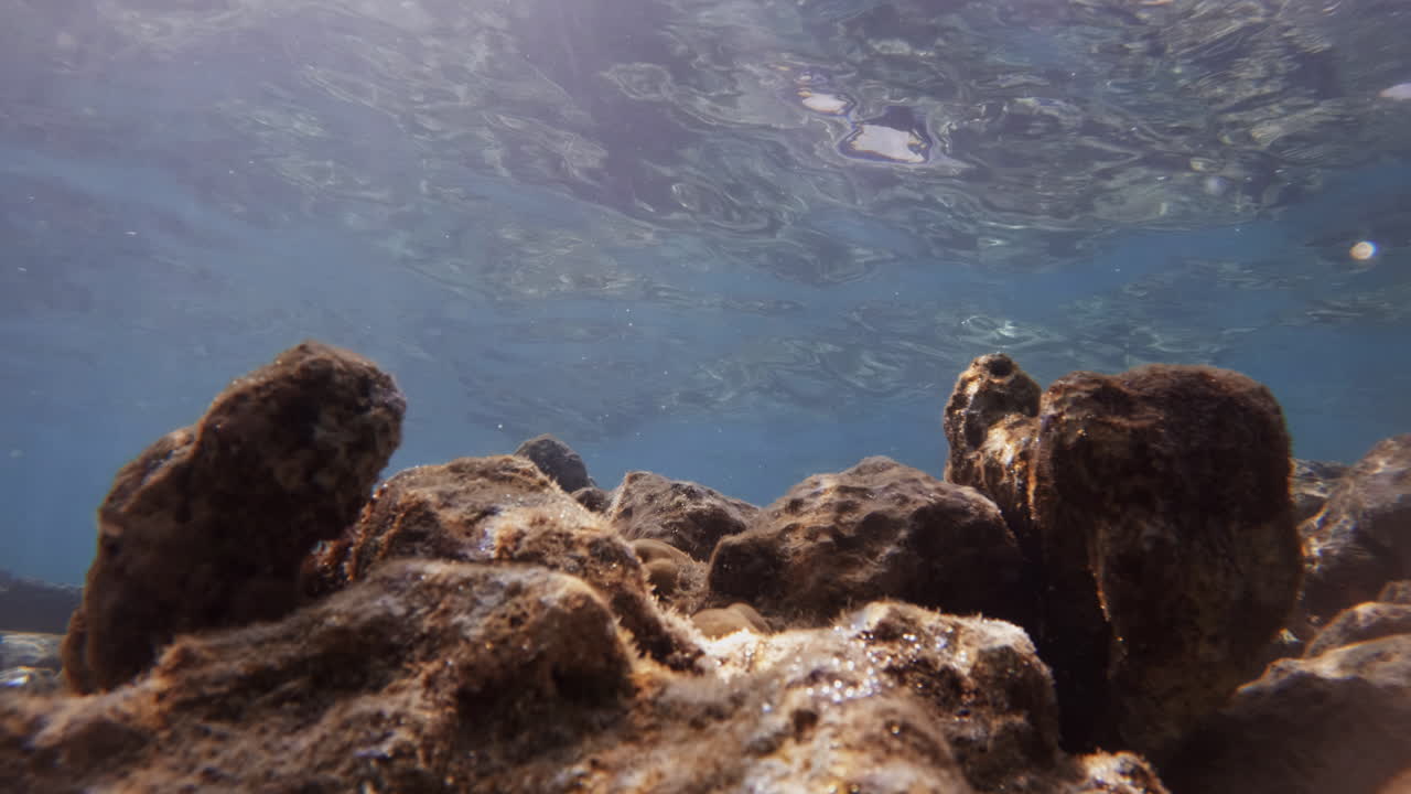 Cinematic underwater shot of corals with cuastic sun rays through the water surface in clear waters in 4K, Slomo