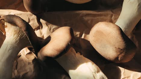 close-up of fresh oyster mushrooms on brown craft paper