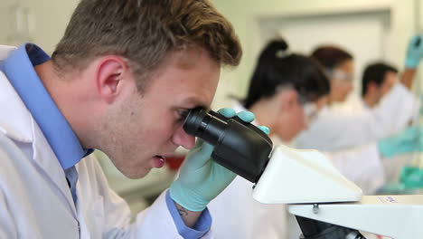 team of science students working in the laboratory