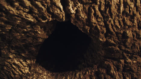 beautiful slow motion shot of the hole in a cavern that serves as a subway wine cellar in burgos, spain