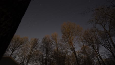 estrellas del cielo nocturno paso del tiempo sobre árboles silhouetted bosque