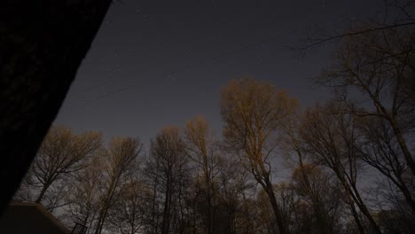 night sky stars timelapse over silhouetted forest trees