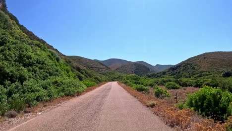 Driving-through-winding-roads,-flanked-by-sun-kissed-green-pastures,-POV