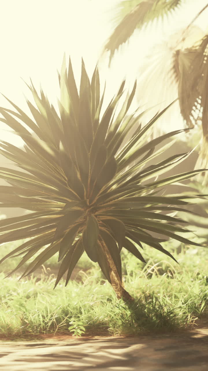 빛 아래의 열대 식물