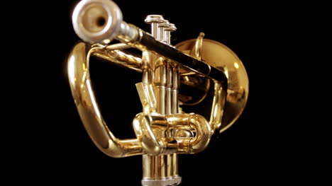 trumpet 01