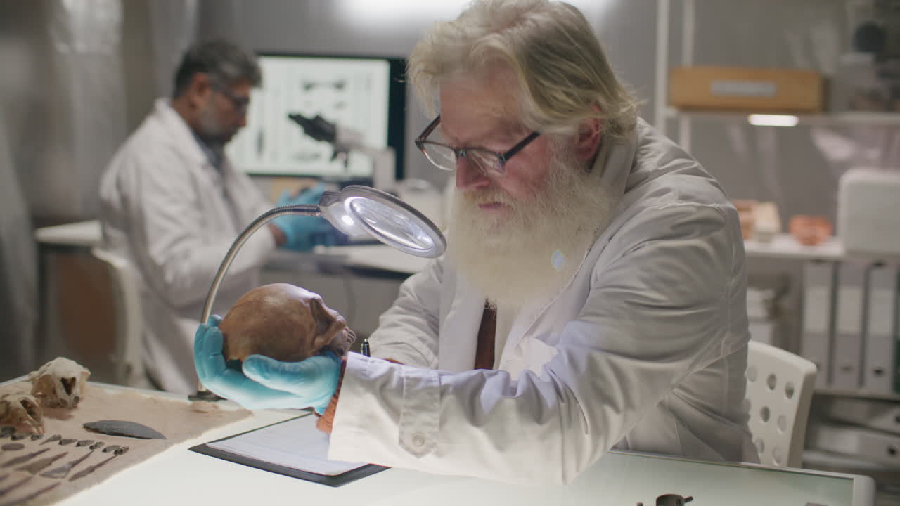 Elderly Archaeologist Analyzing Ancient Skull and Taking Notes at Desk