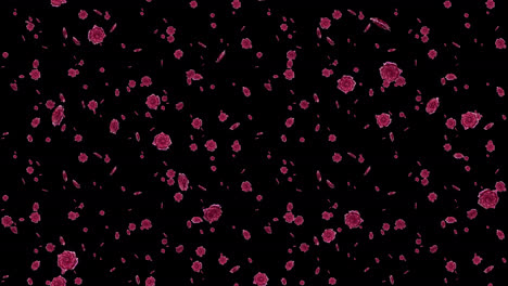 loop_tile flower pink a with alpha. this footage with an alpha channel is loopable and tileable and can create an endless and seamless texture.