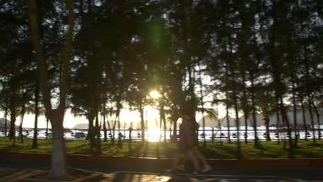 Lens-Flare-Through-Trees-Ha-Long-Bay