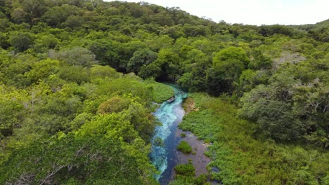 blue water river in the surrounded of green forest in bonito, brazil