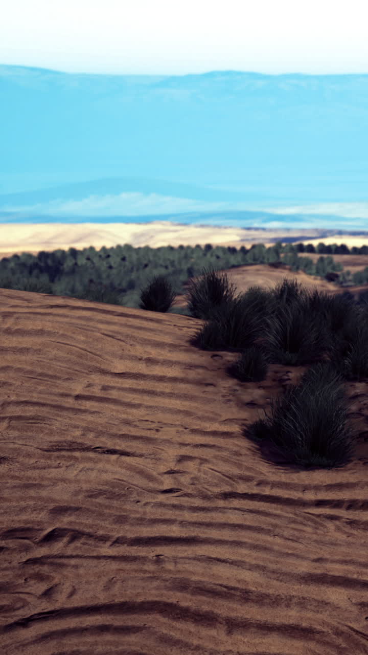 Paesaggio desertico con sabbia ondulata e montagne distanti di giorno.