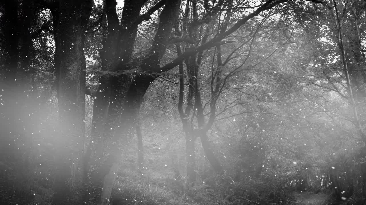 Glowing hearts appearing from top right converging into rotating ring looping in misty forest
