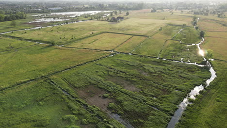 downward dolly reveals up the sunset over natural reserve of bourgoyen-ossemeersen in ghent