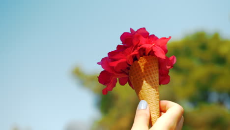 Roter-Sommerstrauß-In-Waffelkegel