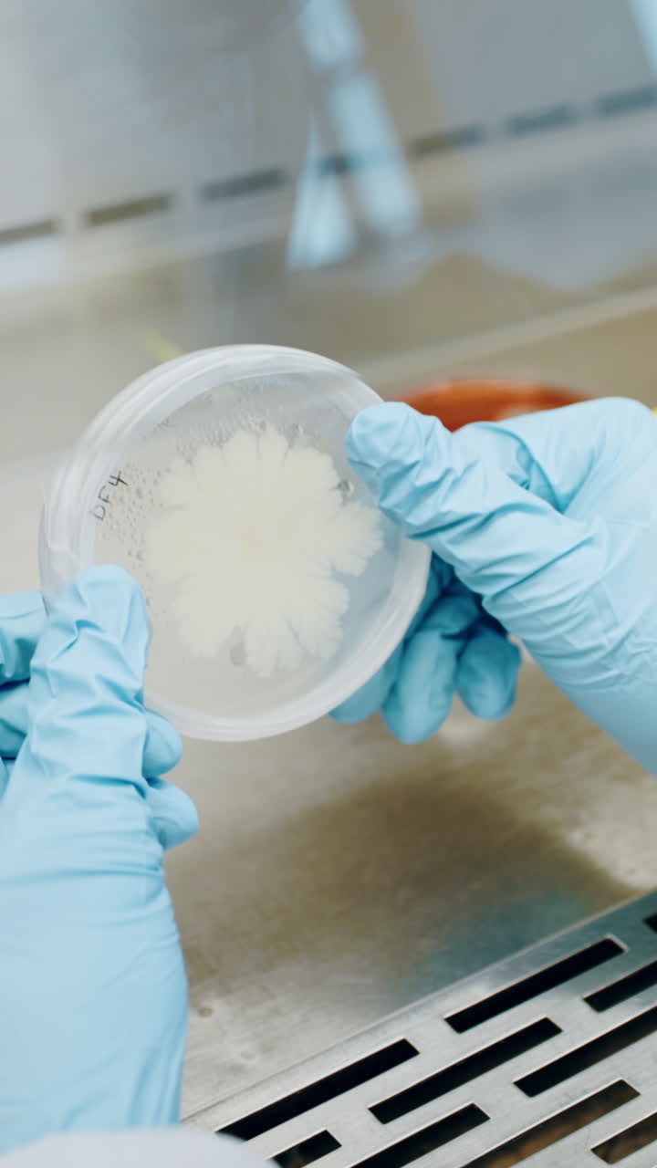 Petri dish in a laboratory
