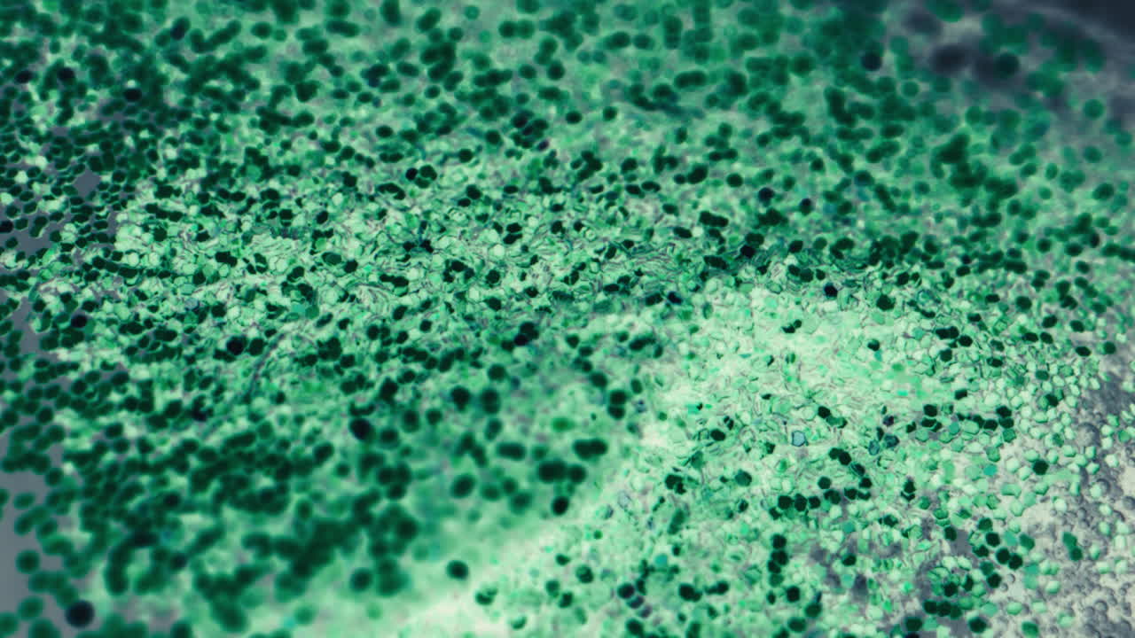 Emerald Green Glitter Texture